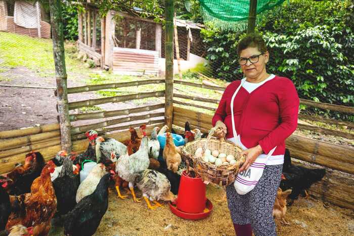 Congreso gestiona línea de crédito para que la gran industria llegue a los pequeños productores