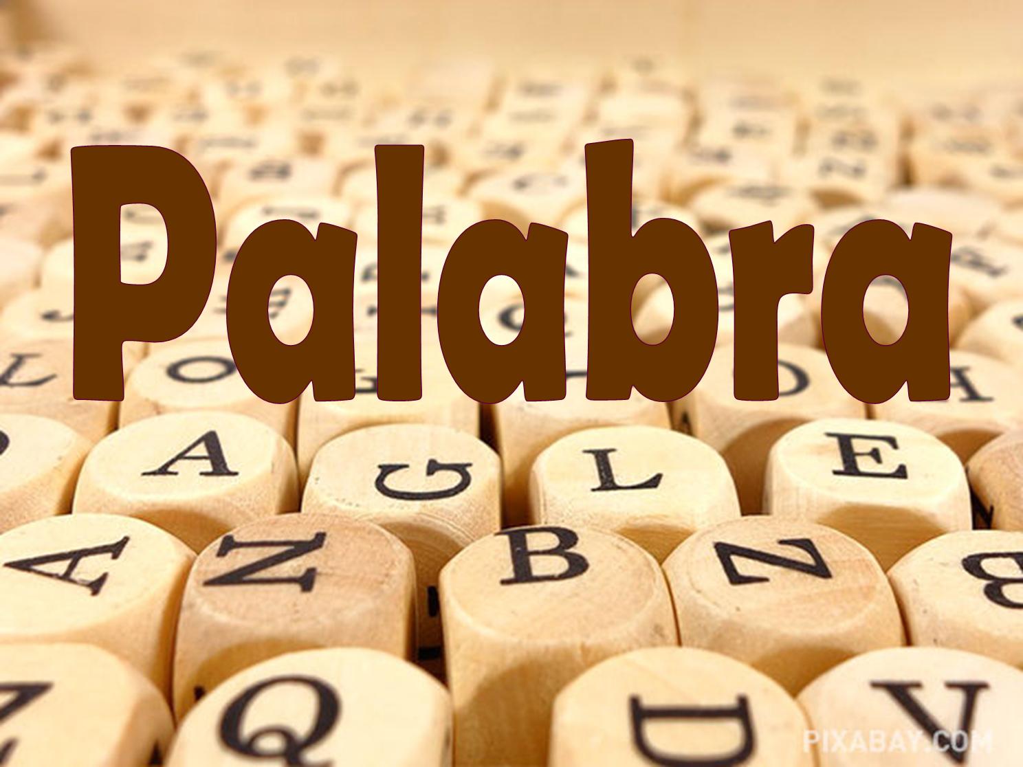 Las palabras que marcaron al mundo en 2024