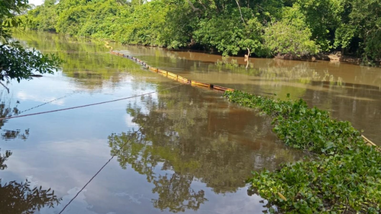 Contaminación en ciénaga San Silvestre sería producto de la criminalidad