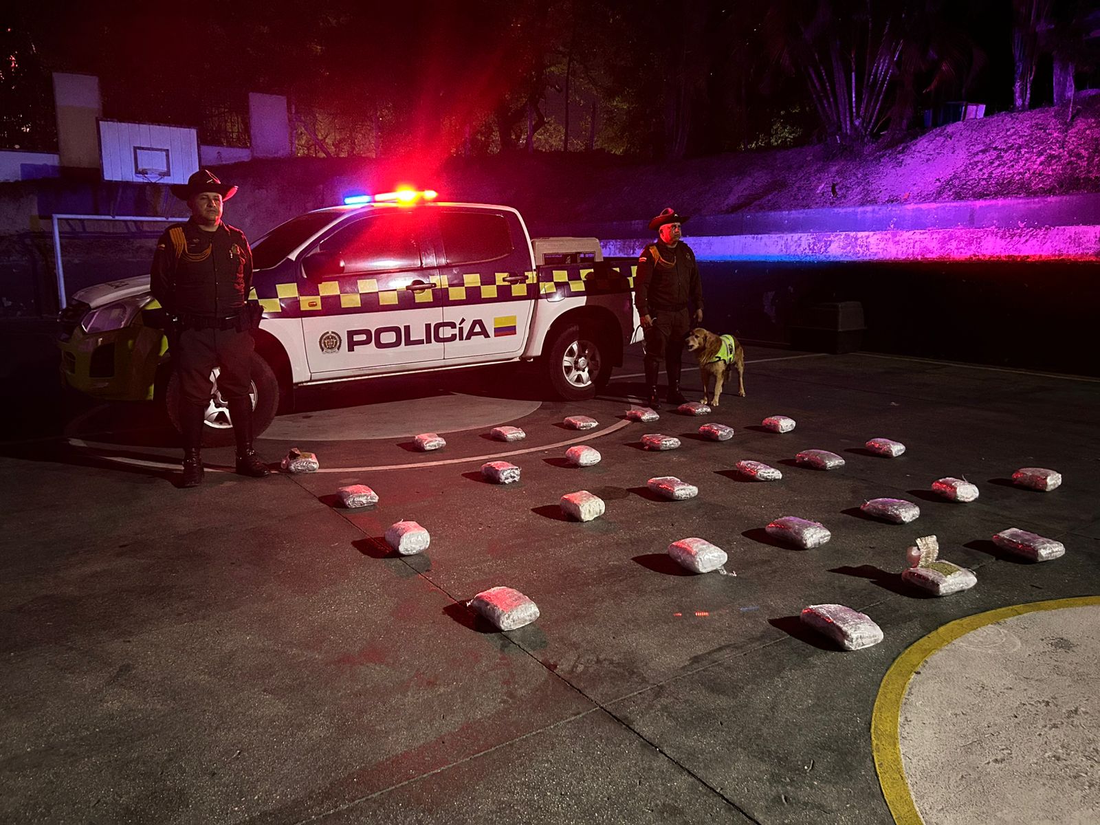 Masiva incautación de marihuana en Girón