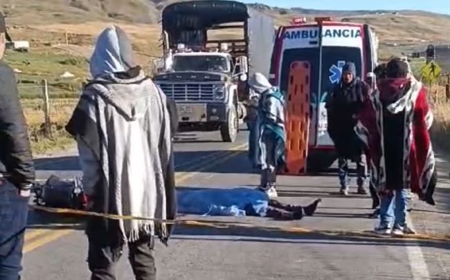 Vaca le ocasionó la muerte a un motorizado vía Cúcuta