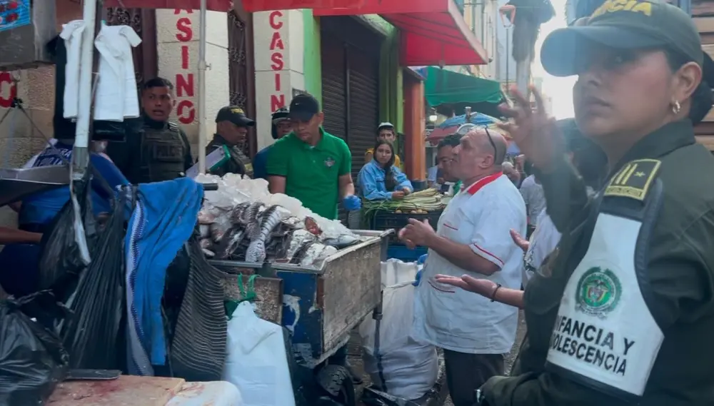Masiva incautación de carne en mal estado