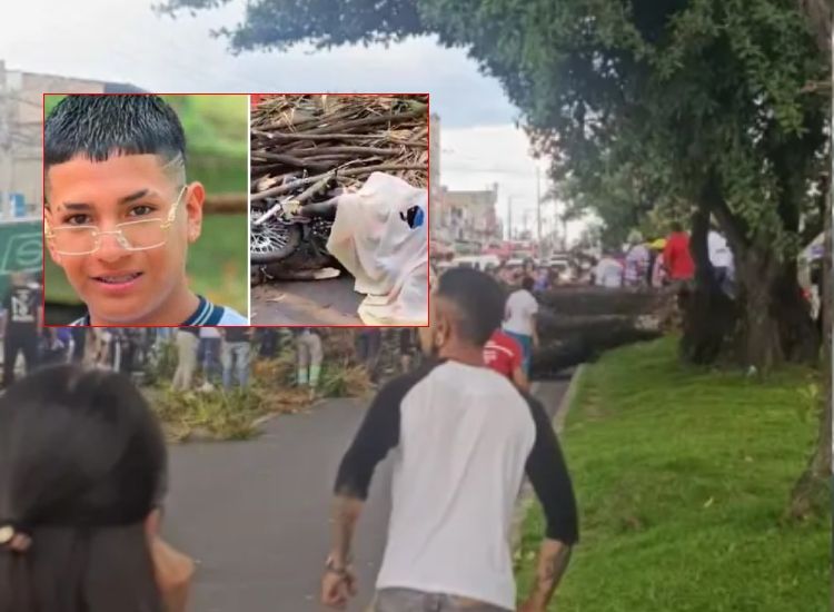 Paseaba en motocicleta y lo aplastó un árbol