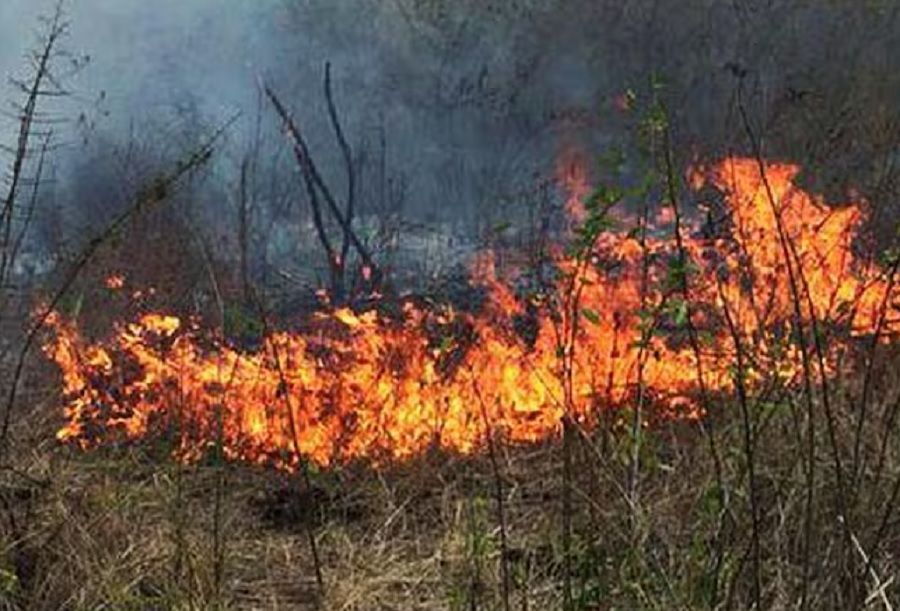 Bucaramanga en alerta por incendios forestales y Bomberos atareados por múltiples emergencias