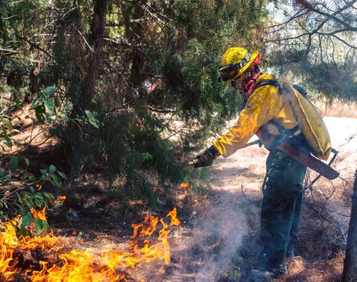 AUMENTAN los incendios forestales en Bucaramanga