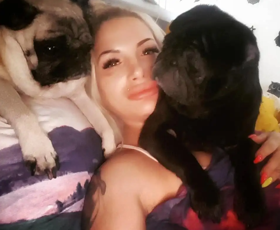 Tras fallecer en su hogar una mujer fue devorada por sus perros