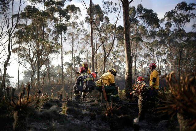 Santander en alerta por incendios forestales: más de 100 hectáreas consumidas