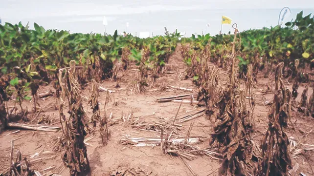 Temporada de sequía en municipios de Santander