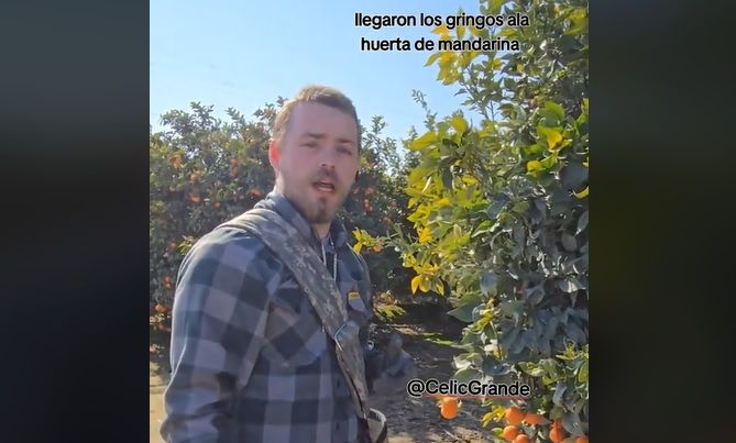 VIDEO: Deportaron a los granjeros mexicanos y ahora los estadounidenses hacen el oso intentando trabajar al ritmo de los latinos