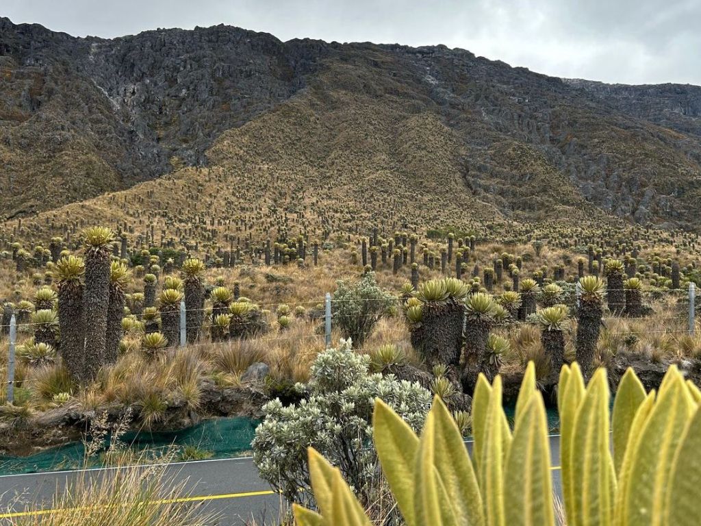 Gobierno niega posibilidad de intervenir zonas de protección en el Parque Nacional Natural Los Nevados