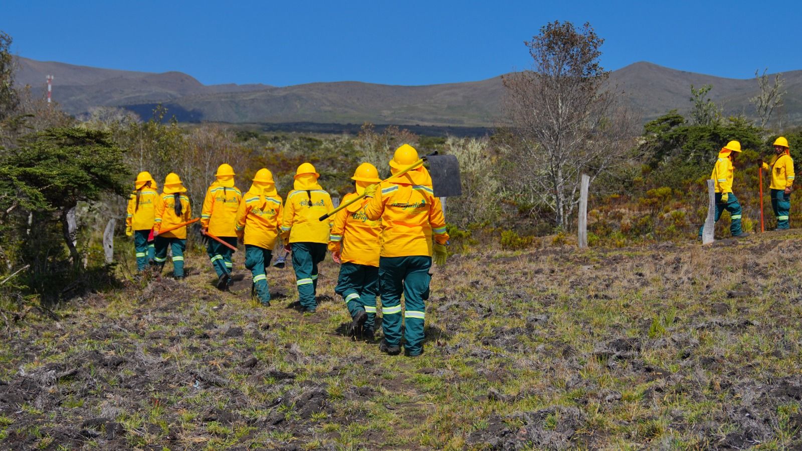 Santander también se cuenta como una de las regiones donde las brigadas comunitarias salvan miles de hectáreas de ser consumidas por incendios
