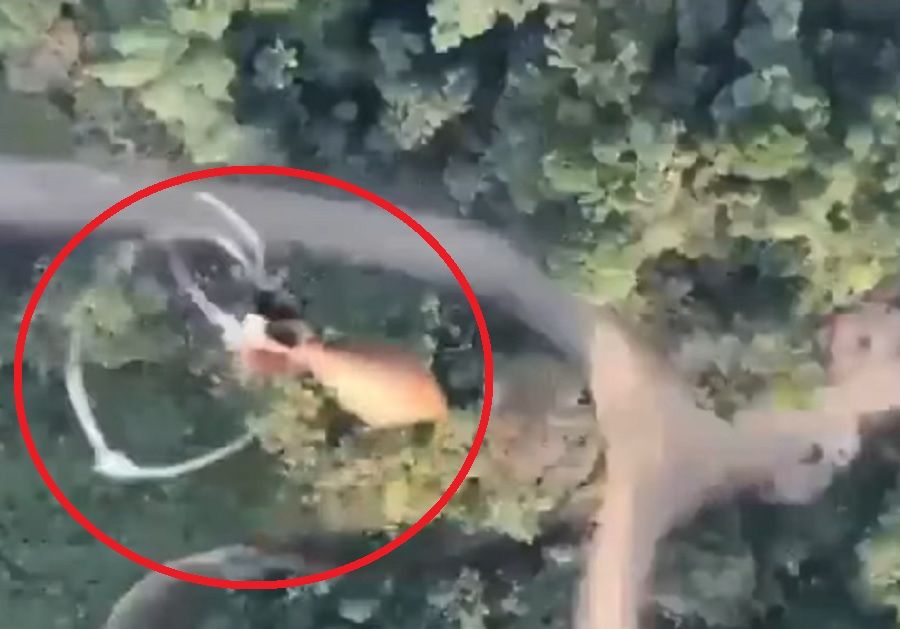 Con drones cargados con explosivos se enfrentan disidencias de las Farc y el ELN en Catatumbo