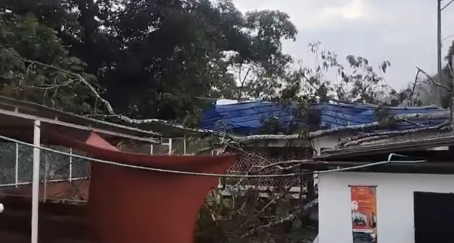 Colegio en Rionegro a punto de colapsar y estudiantes sin respuesta