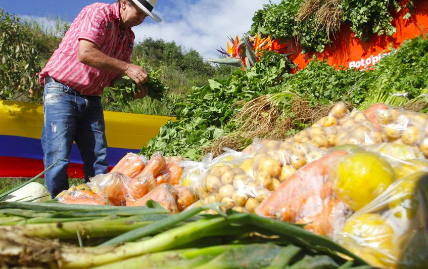 Críticas al gobierno por dificultades de los pequeños cultivadores para acceder a crédito digno