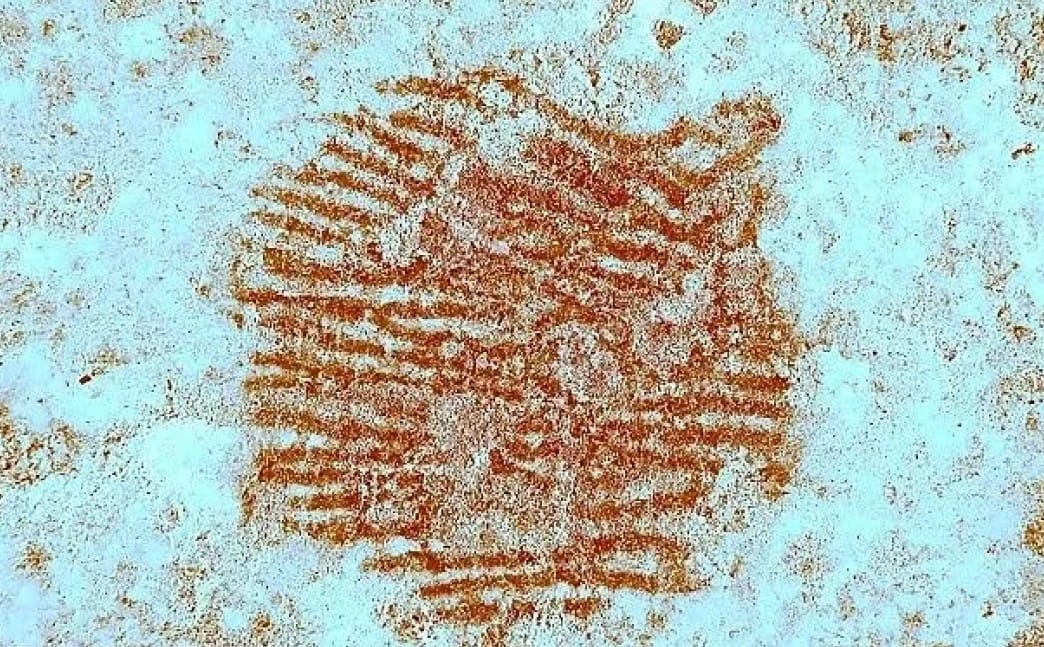 Hallada la huella dactilar más antigua del mundo