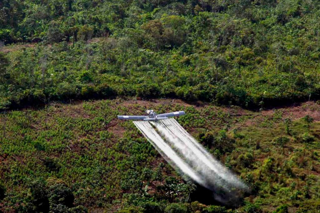Revive iniciativa en Colombia para prohibir el glifosato en cultivos ilícitos