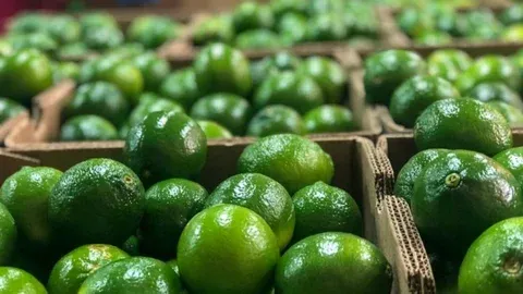 Santander alcanza cifras récord en exportaciones no minero energéticas durante el primer semestre de 2025