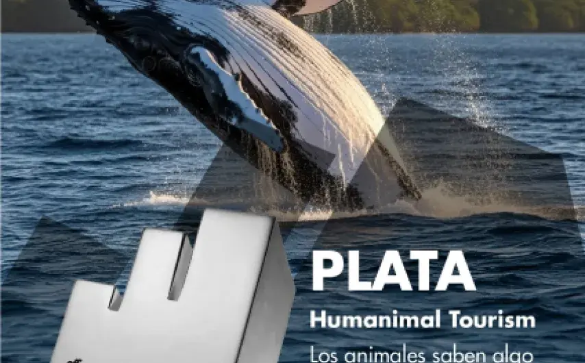 ProColombia continúa acumulando logros: ahora gana en Effie Awards Colombia 2025