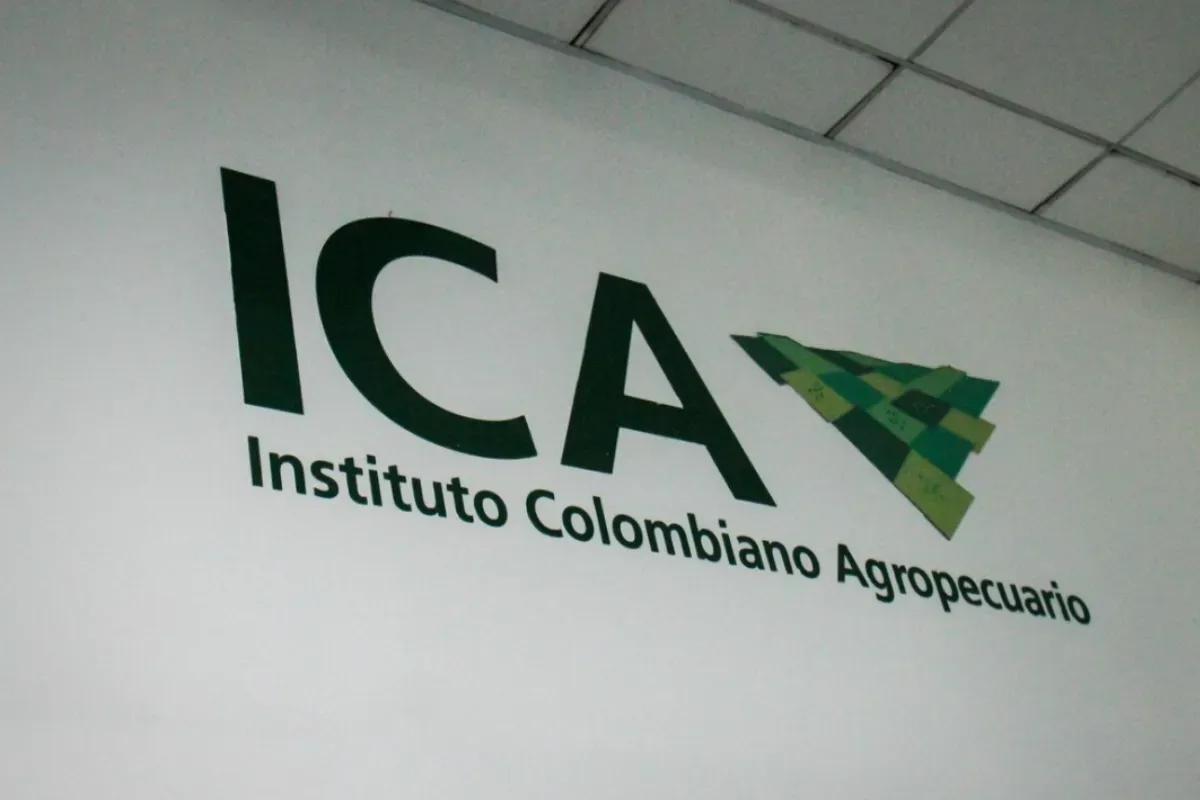 Empapelan a la exgerente del ICA en Bucaramanga. Le contamos por qué