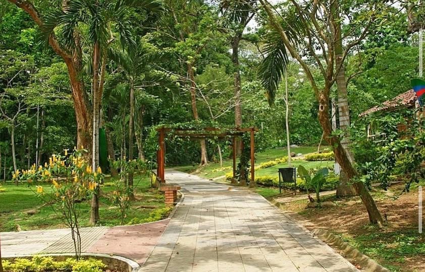 Cierre de un tramo de la carrera 36 en Bucaramanga durará cuatro meses