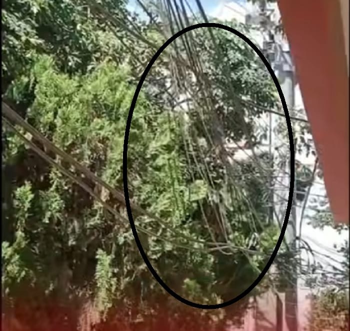 Brisas del Campo enfrenta riesgo por cables peligrosos en vía pública