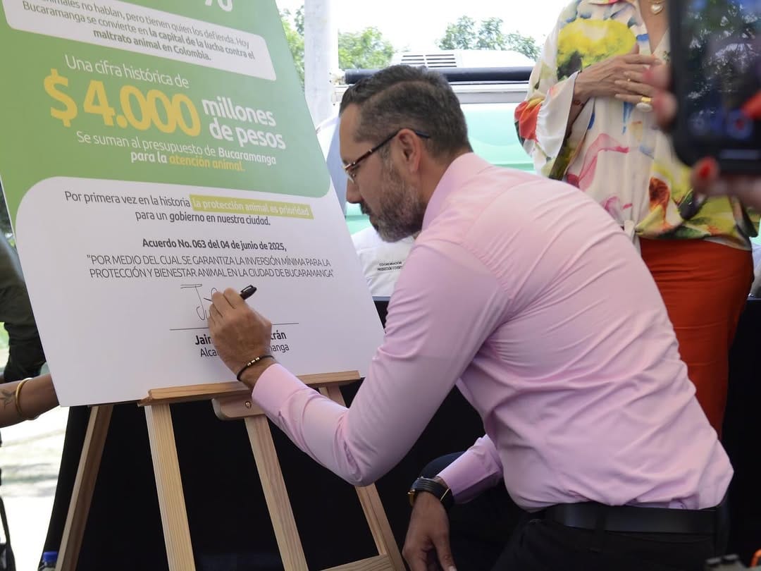 Gran inversión en Bucaramanga para protección de los ‘peluditos’