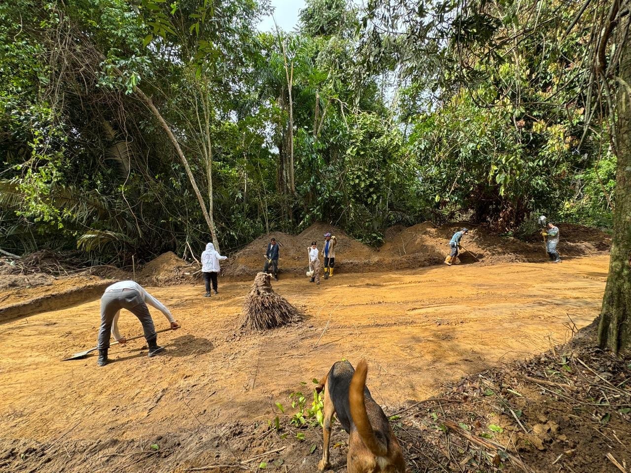 UBPD interviene predio La Pola en Sabana de Torres en búsqueda de desaparecidos