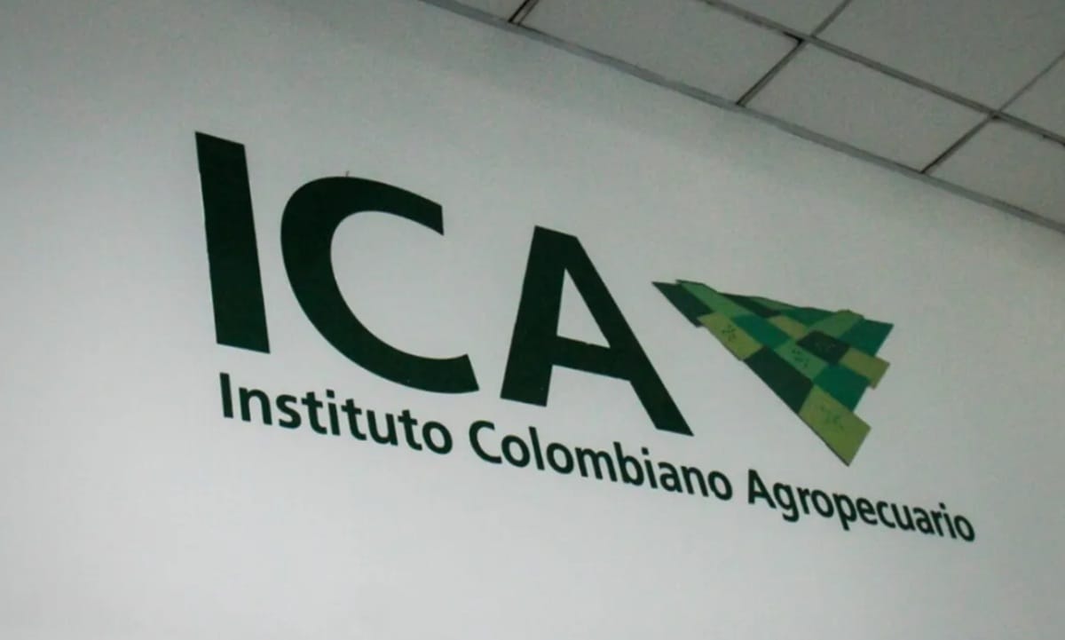 Procuraduría formuló cargos disciplinarios por irregularidades en contratación del ICA en Bucaramanga
