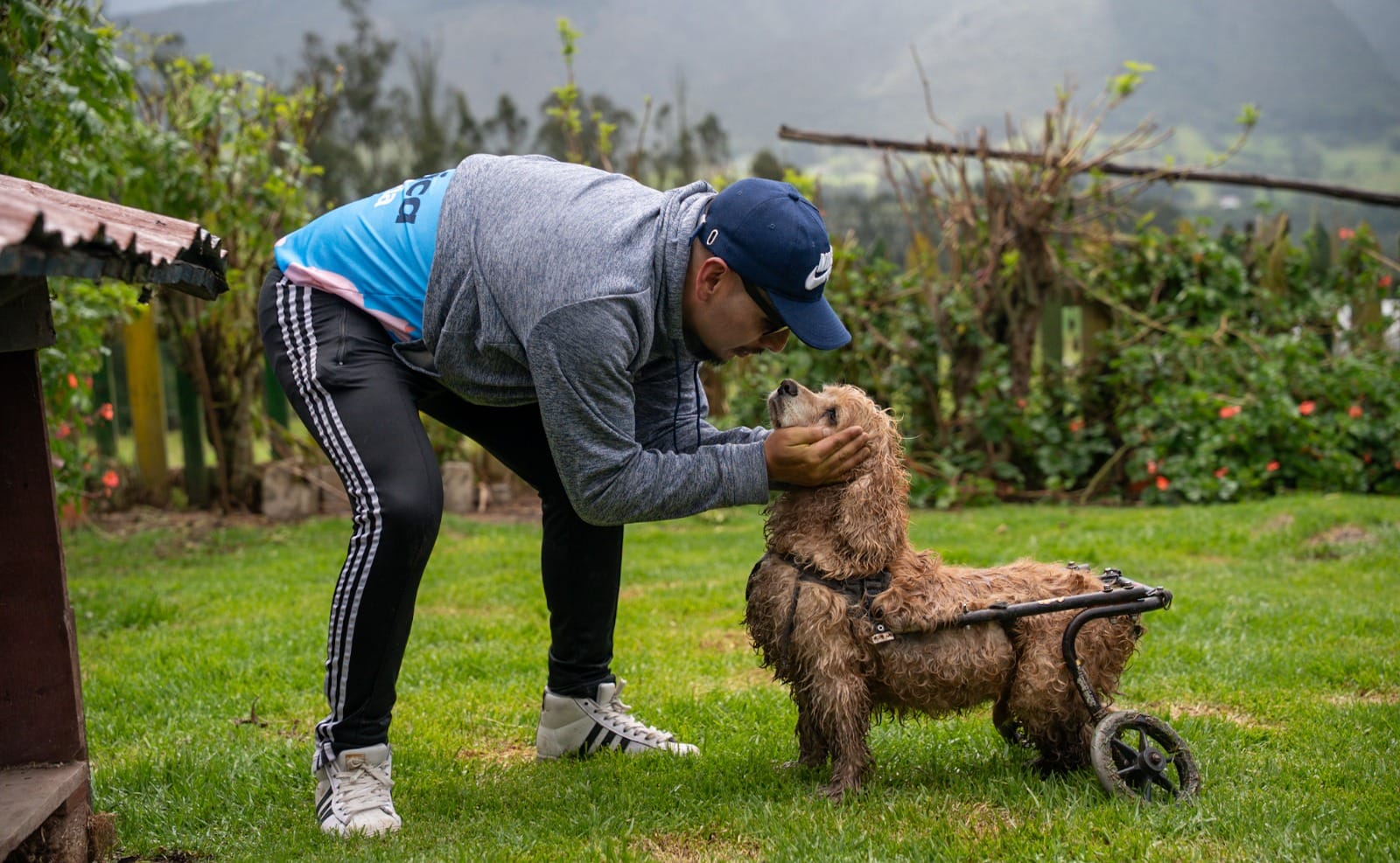 Gabrica impulsa la Academia Guaumor para fortalecer fundaciones en pro del bienestar animal