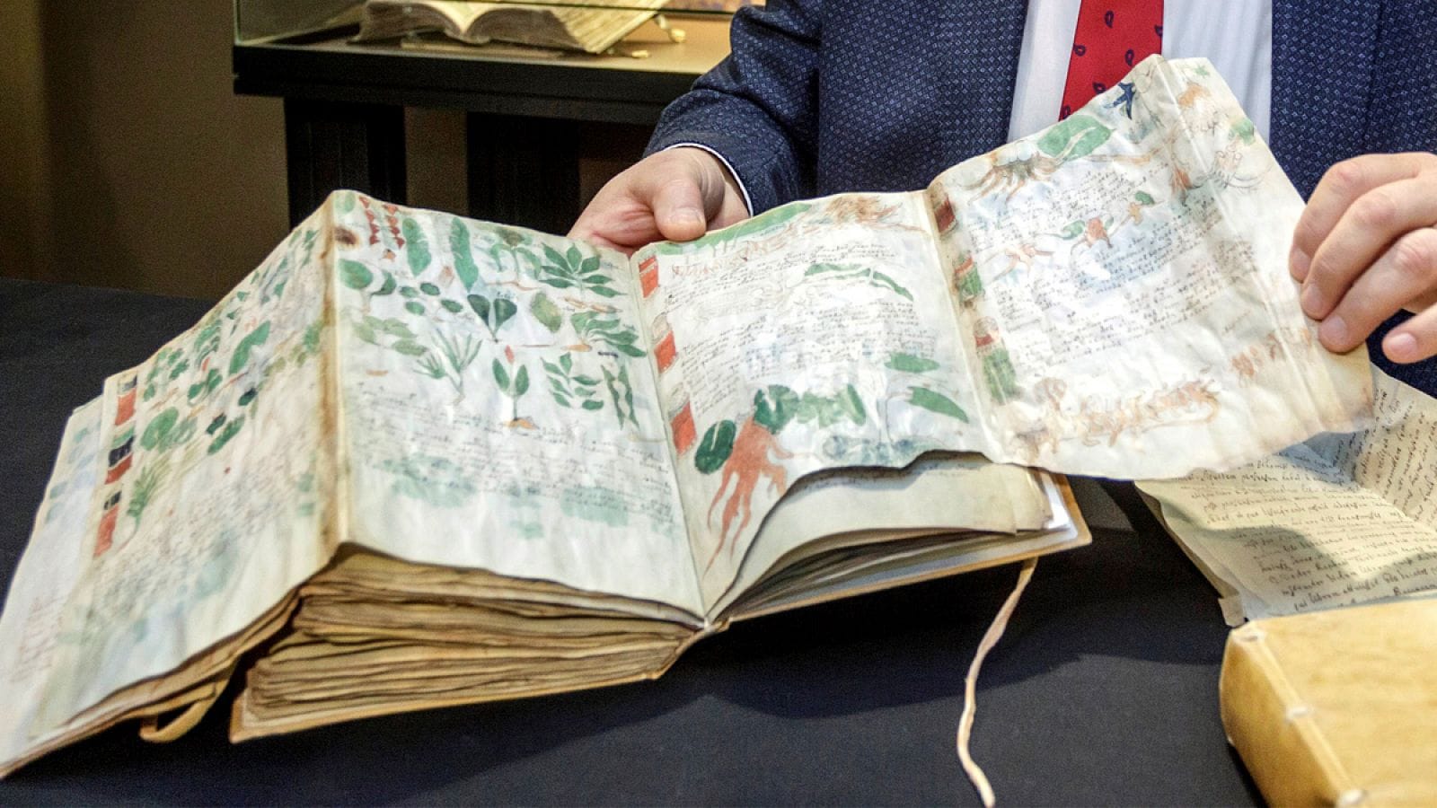 El Manuscrito Voynich sigue desconcertando a los expertos