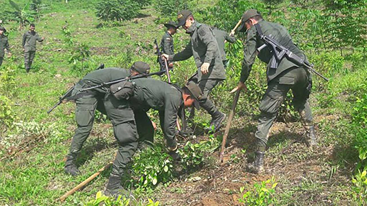 La lucha antidrogas y la desesperación de Petro para evitar la desertificación por parte de EE.UU.