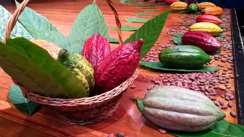 En siete meses el país exportó en bienes no mineros cerca de US$15.173 millones