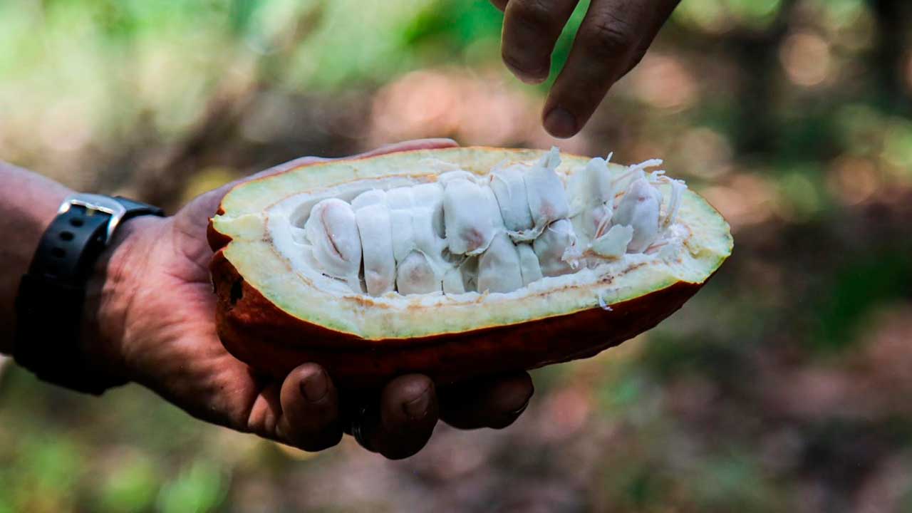 Ministerio de Agricultura está pidiendo 4.1 billones de pesos para presupuesto 2026