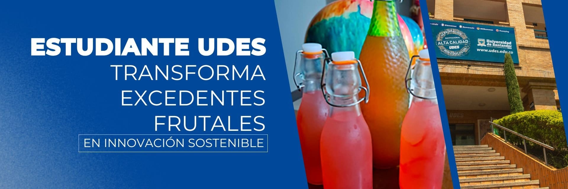 Vino con conciencia: la apuesta sostenible de un joven ingeniero