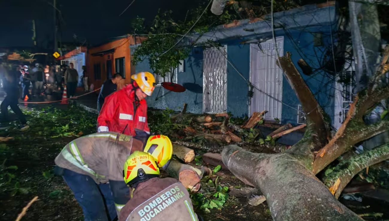Familia clama ayuda porque árbol destruyó su vivienda en Morrorico