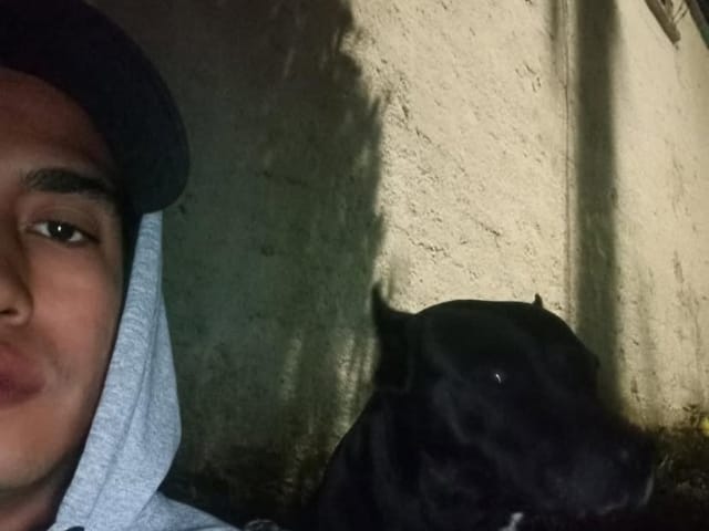 Familia exige justicia por confusa muerte de Juan Felipe Martínez mientras paseaba a su mascota en Bucaramanga