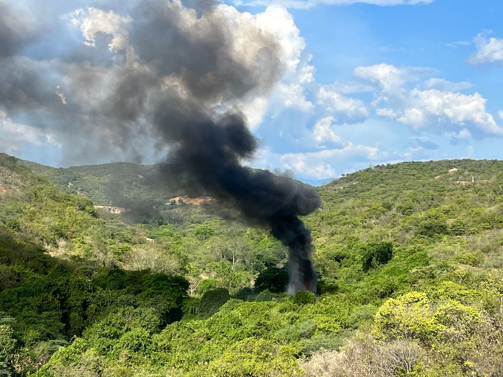 Destruyen 140 kilos de coca en Norte de Santander pertenecientes al ELN