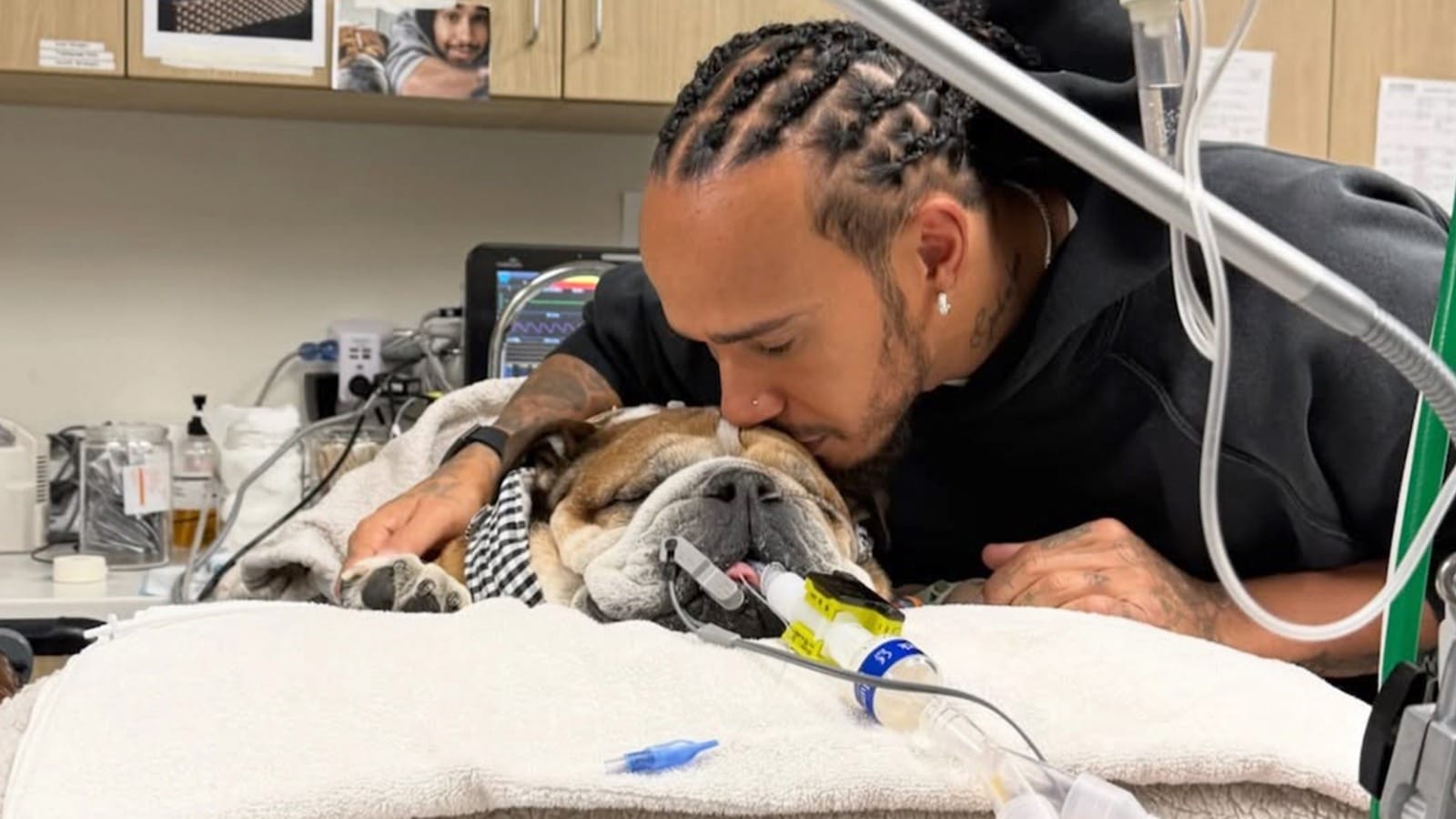 Lewis Hamilton pide oraciones por la salud de su perro Roscoe, en coma tras sufrir un paro cardíaco