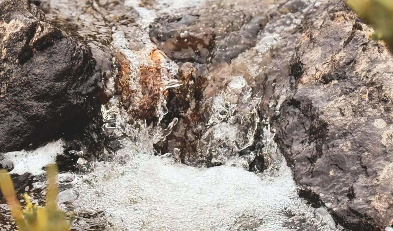 Clausurada en Bucaramanga la  Cuarta Cumbre Mundial de Páramos