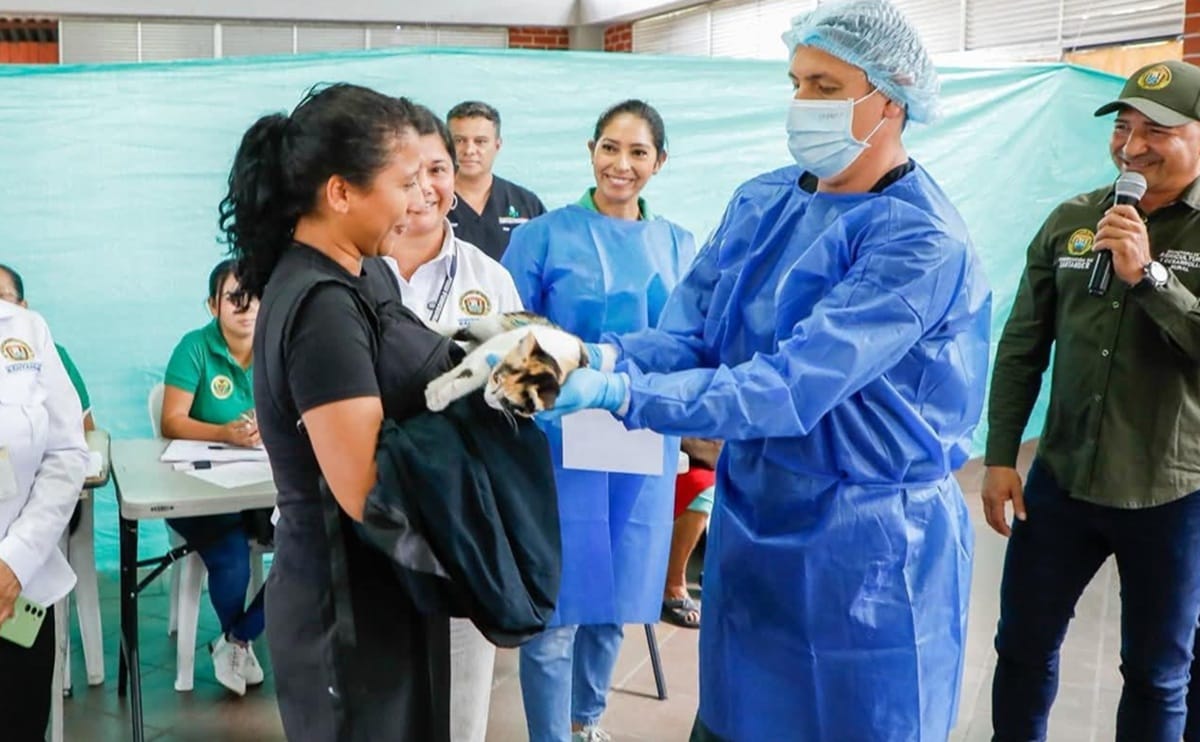 Campaña gratis para esterilizar a los ‘peluditos’ en Piedecuesta