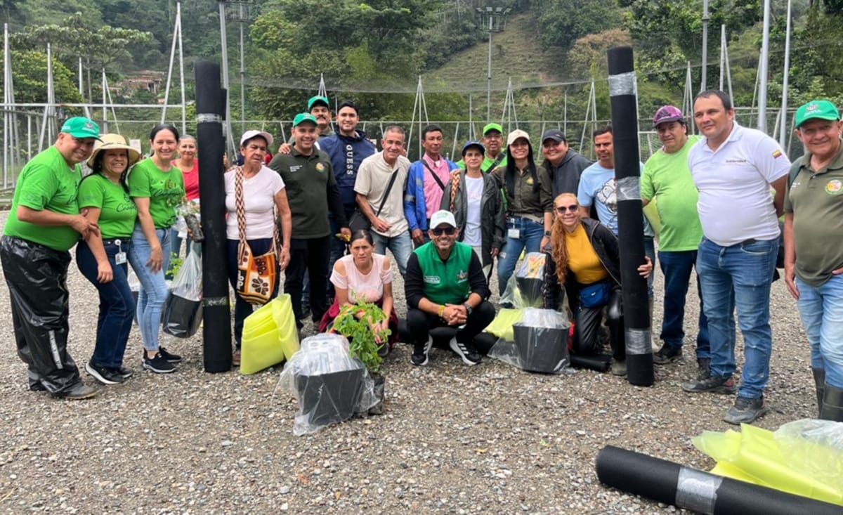 Llegó tecnificación benéfica para cultivadores de cacao