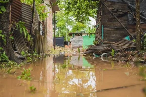 Aleida Noguera alerta crisis por desbordamiento del río Magdalena