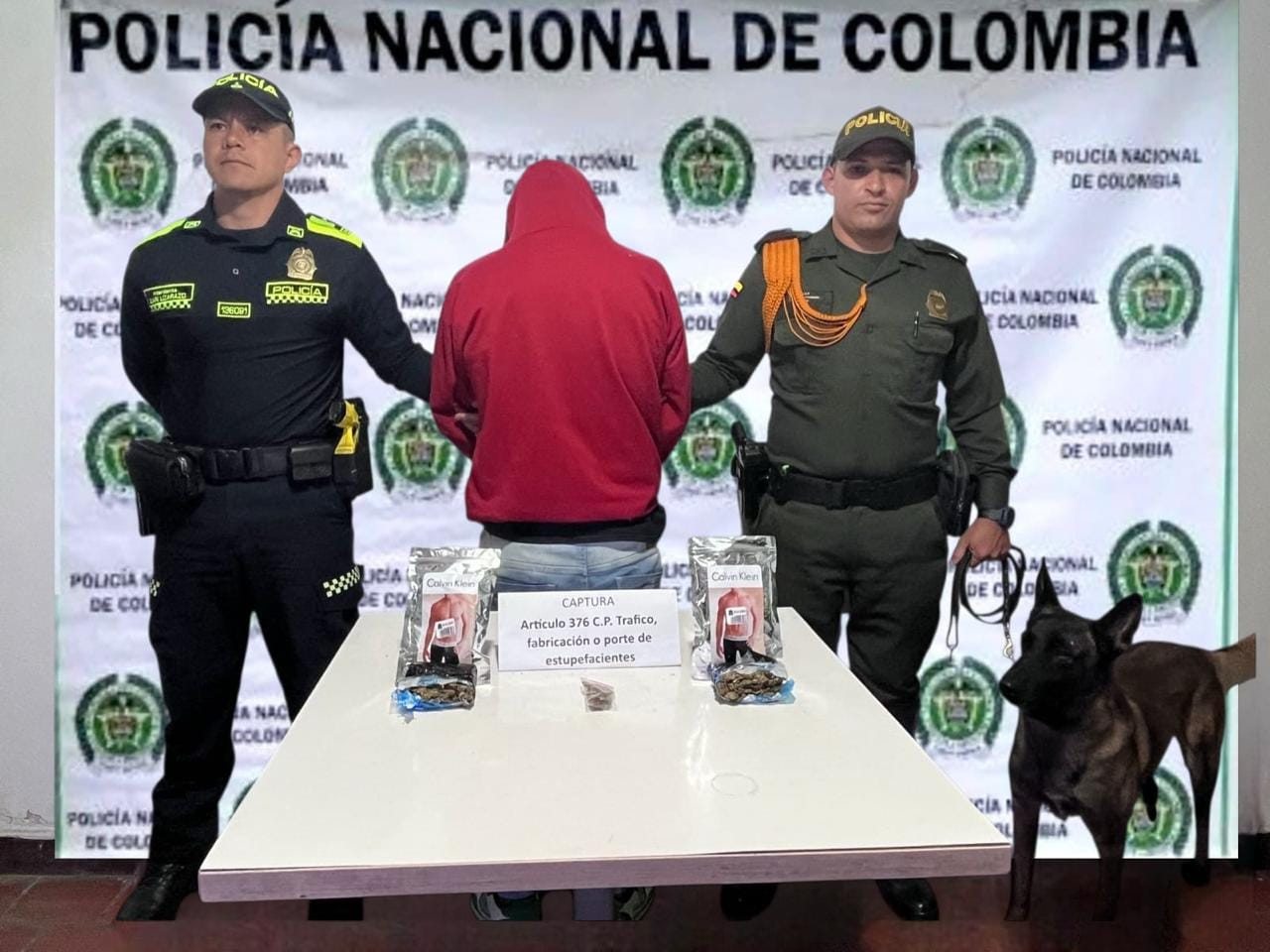 Detienen a joven con más de 260 dosis de marihuana en vía Cúcuta- Bucaramanga
