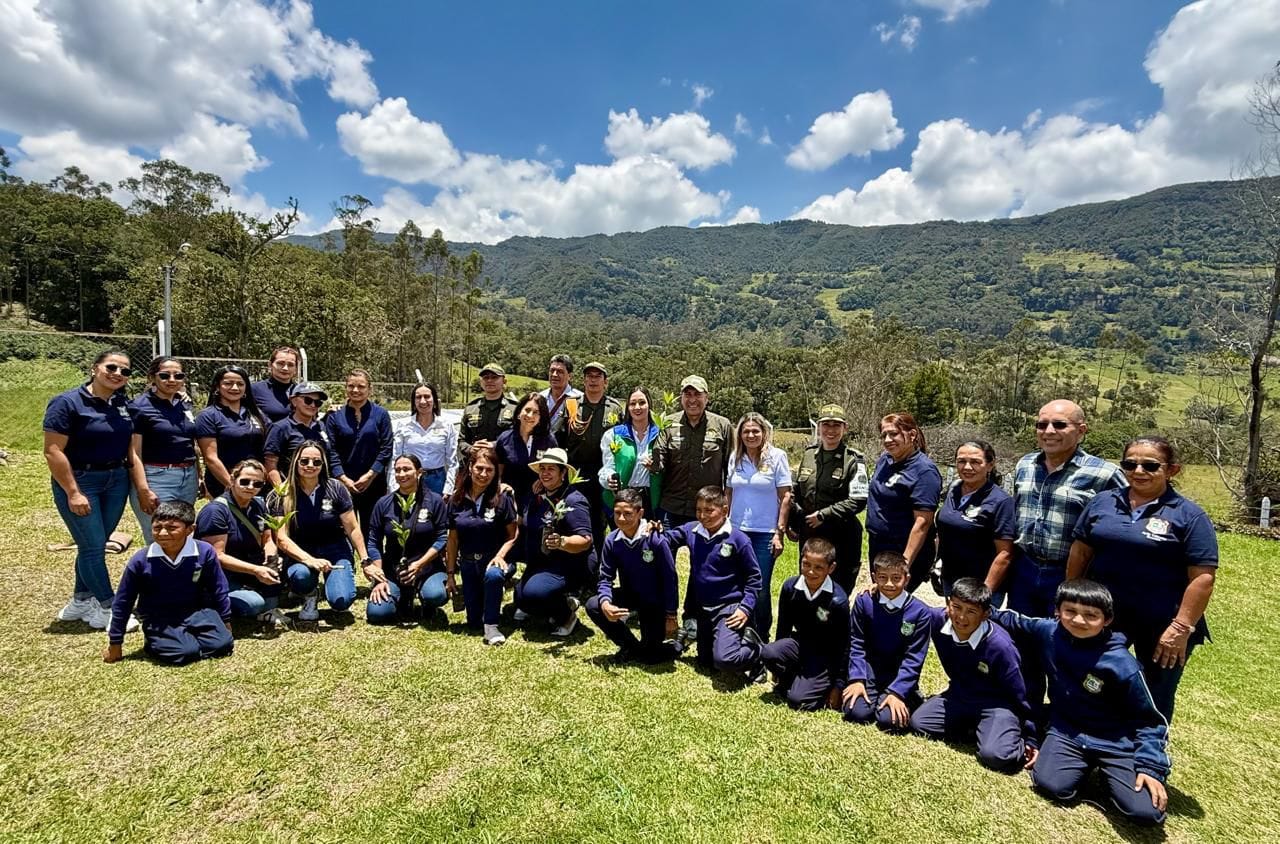 "Reverdece Santander: Árboles para el Futuro" ha reforestado con 150.000 árboles el departamento