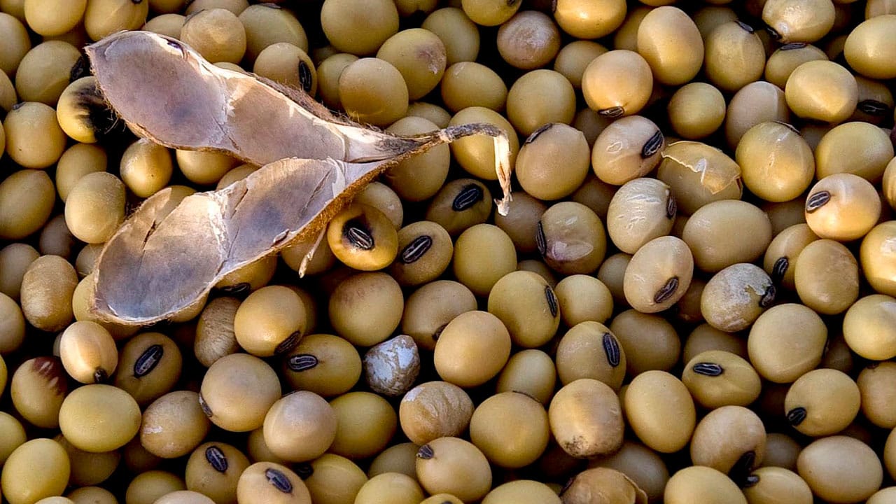 Cero aranceles a importación de insumos para sector agropecuario