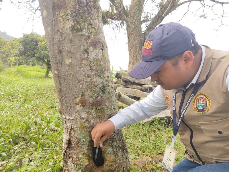 Santander refuerza la vigilancia contra el dengue