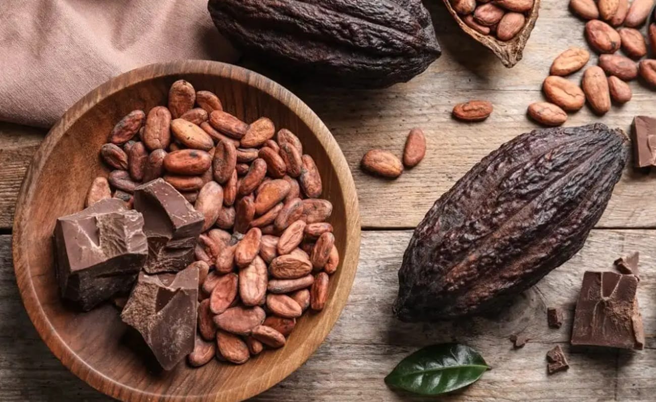 Santander registra récord histórico en exportaciones no minero energéticas