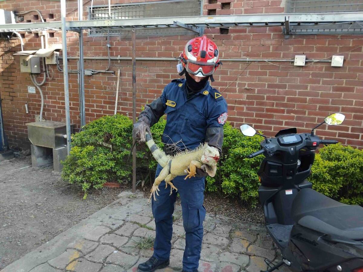 Llamado para integrar comunidad con fauna silvestre en Floridablanca