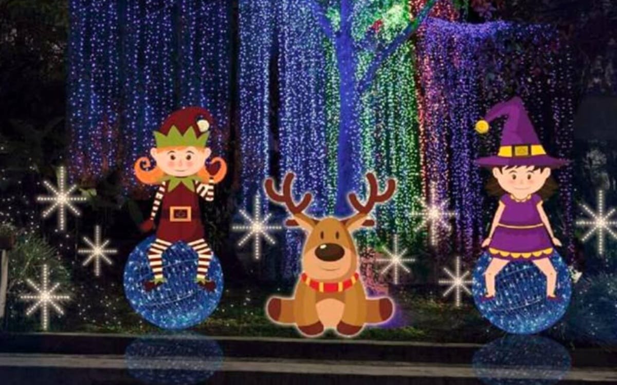 Alcalde (d) ordena revisión sobre contrato de alumbrado navideño