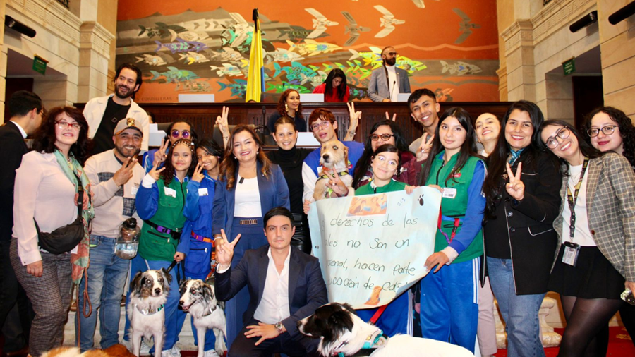 Aprobada Ley que impone educación ambiental con enfoque de bienestar animal para colegios del país